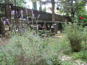 Гостиница Guest House Vila Biljana  Аранджеловац